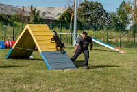 AGILITY COMPIEGNE - CAT B - LEWIS -26 : 2016, 2ème degré, 6 Août 2016, AGILITY COMPIEGNE, COMPIEGNE, Catégorie B, LEWIS