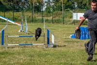 AGILITY COMPIEGNE - CAT B - LEWIS -27 : 2016, 2ème degré, 6 Août 2016, AGILITY COMPIEGNE, COMPIEGNE, Catégorie B, LEWIS