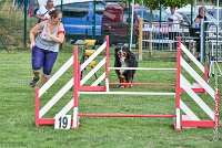 003 ELANKA -05082017-AGI 9758AGILITY COMPIEGNE 2017 - STANDARD : 2017, 25 JUIN 2017, AGILITY COMPIEGNE 2017, AGILITY STANDARD, CAT.D, D91, ELANKA