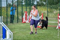 024 ELANKA -05082017-AGI 1223sans titre : 2017, 25 JUIN 2017, AGILITY 2, AGILITY COMPIEGNE 2017, CAT.D, D91, ELANKA