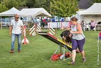 026 ELANKA -05082017-AGI 1228sans titre : 2017, 25 JUIN 2017, AGILITY 2, AGILITY COMPIEGNE 2017, CAT.D, D91, ELANKA