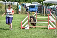 002 HEIDI -05082017-AGI 9809AGILITY COMPIEGNE 2017 - STANDARD : 2017, 25 JUIN 2017, AGILITY COMPIEGNE 2017, AGILITY STANDARD, CAT.D, D92, HEIDI