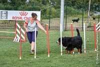 018 HEIDI -05082017-AGI 1205AGILITY COMPIEGNE 2017 : 2017, 25 JUIN 2017, AGILITY 2, AGILITY COMPIEGNE 2017, CAT.D, D92, HEIDI