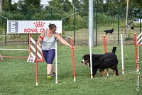 019 HEIDI -05082017-AGI 1206AGILITY COMPIEGNE 2017 : 2017, 25 JUIN 2017, AGILITY 2, AGILITY COMPIEGNE 2017, CAT.D, D92, HEIDI