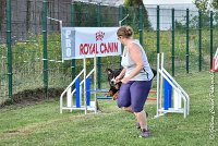 023 HEIDI -05082017-AGI 1212AGILITY COMPIEGNE 2017 : 2017, 25 JUIN 2017, AGILITY 2, AGILITY COMPIEGNE 2017, CAT.D, D92, HEIDI