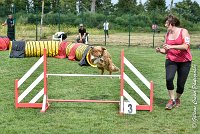 013 JYNKA -05082017-AGI 9033AGILITY COMPIEGNE 2017 - STANDARD : 2017, 25 JUIN 2017, AGILITY COMPIEGNE 2017, AGILITY STANDARD, CAT.C, D51, JYNKA