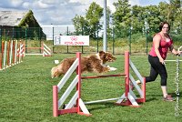 023 JYNKA -05082017-AGI 0056AGILITY COMPIEGNE 2017 - AGILITY 1 : 2017, 25 JUIN 2017, AGILITY 1, AGILITY COMPIEGNE 2017, CAT.C, D51, JYNKA