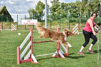 024 JYNKA -05082017-AGI 0057AGILITY COMPIEGNE 2017 - AGILITY 1 : 2017, 25 JUIN 2017, AGILITY 1, AGILITY COMPIEGNE 2017, CAT.C, D51, JYNKA