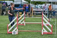 002 LIZZY -05082017-AGI 8854AGILITY COMPIEGNE 2017 - STANDARD : 2017, 25 JUIN 2017, AGILITY COMPIEGNE 2017, AGILITY STANDARD, CAT.C, D42, LIZZY