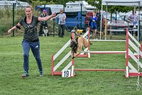 005 LIZZY -05082017-AGI 8857AGILITY COMPIEGNE 2017 - STANDARD : 2017, 25 JUIN 2017, AGILITY COMPIEGNE 2017, AGILITY STANDARD, CAT.C, D42, LIZZY