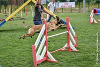 011 LIZZY -05082017-AGI 8865AGILITY COMPIEGNE 2017 - STANDARD : 2017, 25 JUIN 2017, AGILITY COMPIEGNE 2017, AGILITY STANDARD, CAT.C, D42, LIZZY