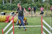 013 LIZZY -05082017-AGI 8870AGILITY COMPIEGNE 2017 - STANDARD : 2017, 25 JUIN 2017, AGILITY COMPIEGNE 2017, AGILITY STANDARD, CAT.C, D42, LIZZY