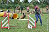 014 LIZZY -05082017-AGI 8872AGILITY COMPIEGNE 2017 - STANDARD : 2017, 25 JUIN 2017, AGILITY COMPIEGNE 2017, AGILITY STANDARD, CAT.C, D42, LIZZY