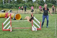 015 LIZZY -05082017-AGI 8873AGILITY COMPIEGNE 2017 - STANDARD : 2017, 25 JUIN 2017, AGILITY COMPIEGNE 2017, AGILITY STANDARD, CAT.C, D42, LIZZY