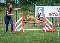 021 LIZZY -AGI 0215 : 05 AOUT 2017, 2017, AGILITY COMPIEGNE 2017, LIZZY