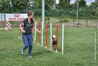 025 LIZZY -05082017-AGI 0219AGILITY COMPIEGNE 2017 - AGILITY 1 : 2017, 25 JUIN 2017, AGILITY 1, AGILITY COMPIEGNE 2017, CAT.C, D42, LIZZY