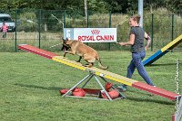 028 LIZZY -05082017-AGI 0222AGILITY COMPIEGNE 2017 - AGILITY 1 : 2017, 25 JUIN 2017, AGILITY 1, AGILITY COMPIEGNE 2017, CAT.C, D42, LIZZY