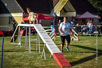 004 AGILITY HERMES -FALKA -3209 : 2016, 25 Septembre 2016, AGILITY HERMES, Dossard 74, FALKA, open+