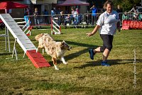 007 AGILITY HERMES -FALKA -3212 : 2016, 25 Septembre 2016, AGILITY HERMES, Dossard 74, FALKA, open+