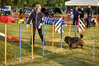 005 AGILITY HERMES -GAHUN -2449 : 2016, 25 Septembre 2016, AGILITY HERMES, Catégorie B, Dossard  21, GAHUN, open+