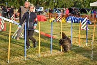 006 AGILITY HERMES -GAHUN -2451 : 2016, 25 Septembre 2016, AGILITY HERMES, Catégorie B, Dossard  21, GAHUN, open+