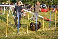 007 AGILITY HERMES -GAHUN -2452 : 2016, 25 Septembre 2016, AGILITY HERMES, Catégorie B, Dossard  21, GAHUN, open+