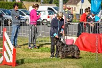 013 AGILITY HERMES -GAHUN -3569 : 1er degré, 2016, 25 Septembre 2016, AGILITY HERMES, Dossard 21, GAHUN