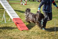 019 AGILITY HERMES -GAHUN -3576 : 1er degré, 2016, 25 Septembre 2016, AGILITY HERMES, Dossard 21, GAHUN