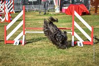 022 AGILITY HERMES -GAHUN -3580 : 1er degré, 2016, 25 Septembre 2016, AGILITY HERMES, Dossard 21, GAHUN