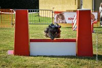 024 AGILITY HERMES -GAHUN -3582 : 1er degré, 2016, 25 Septembre 2016, AGILITY HERMES, Dossard 21, GAHUN