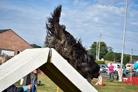 026 AGILITY HERMES -GAHUN -3584 : 1er degré, 2016, 25 Septembre 2016, AGILITY HERMES, Dossard 21, GAHUN