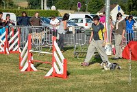 002 AGILITY HERMES - CAT C- GOLDEN EYES -3123 : 2016, 25 Septembre 2016, AGILITY HERMES, Catégorie C, GOLDEN EYES, open+