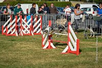 003 AGILITY HERMES - CAT C- GOLDEN EYES -3124 : 2016, 25 Septembre 2016, AGILITY HERMES, Catégorie C, GOLDEN EYES, open+