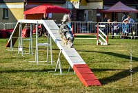 007 AGILITY HERMES - CAT C- GOLDEN EYES -3128 : 2016, 25 Septembre 2016, AGILITY HERMES, Catégorie C, GOLDEN EYES, open+