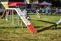 008 AGILITY HERMES - CAT C- GOLDEN EYES -3129 : 2016, 25 Septembre 2016, AGILITY HERMES, Catégorie C, GOLDEN EYES, open+