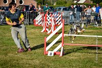 012 AGILITY HERMES - CAT C- GOLDEN EYES -3133 : 2016, 25 Septembre 2016, AGILITY HERMES, Catégorie C, GOLDEN EYES, open+