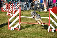 014 AGILITY HERMES - CAT C- GOLDEN EYES -3134 : 2016, 25 Septembre 2016, AGILITY HERMES, Catégorie C, GOLDEN EYES, open+