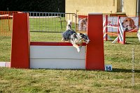 016 AGILITY HERMES - CAT C- GOLDEN EYES -3136 : 2016, 25 Septembre 2016, AGILITY HERMES, Catégorie C, GOLDEN EYES, open+