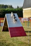 017 AGILITY HERMES - CAT C- GOLDEN EYES -3138 : 2016, 25 Septembre 2016, AGILITY HERMES, Catégorie C, GOLDEN EYES, open+