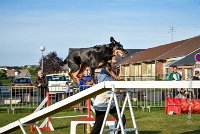 003 AGILITY HERMES -GWENDIE -2834 : 2016, 25 Septembre 2016, AGILITY HERMES, Catégorie C, Dossard  38, GWENDIE