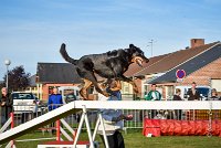 004 AGILITY HERMES -GWENDIE -2835 : 2016, 25 Septembre 2016, AGILITY HERMES, Catégorie C, Dossard  38, GWENDIE