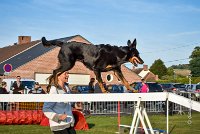 005 AGILITY HERMES -GWENDIE -2836 : 2016, 25 Septembre 2016, AGILITY HERMES, Catégorie C, Dossard  38, GWENDIE