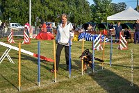 006 AGILITY HERMES -GWENDIE -2839 : 2016, 25 Septembre 2016, AGILITY HERMES, Catégorie C, Dossard  38, GWENDIE