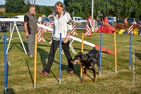 007 AGILITY HERMES -GWENDIE -2840 : 2016, 25 Septembre 2016, AGILITY HERMES, Catégorie C, Dossard  38, GWENDIE