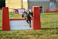 010 AGILITY HERMES -GWENDIE -2844 : 2016, 25 Septembre 2016, AGILITY HERMES, Catégorie C, Dossard  38, GWENDIE