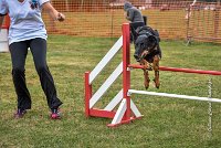 014 AGILITY HERMES -GWENDIE -3938 : 2016, 25 Septembre 2016, 2ème degré, AGILITY HERMES, Dossard  38, GWENDIE