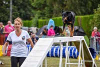 016 AGILITY HERMES -GWENDIE -3941 : 2016, 25 Septembre 2016, 2ème degré, AGILITY HERMES, Dossard  38, GWENDIE