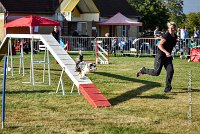 007 AGILITY HERMES - HANOUCK -3370 : 2016, 25 Septembre 2016, AGILITY HERMES, Dossard  59, HANOUCK, open+