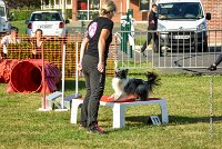 010 AGILITY HERMES - HANOUCK -3374 : 2016, 25 Septembre 2016, AGILITY HERMES, Dossard  59, HANOUCK, open+