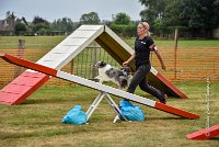 016 AGILITY HERMES - HANOUCK -4281 : 2016, 25 Septembre 2016, 2ème degré, AGILITY HERMES, HANOUCK